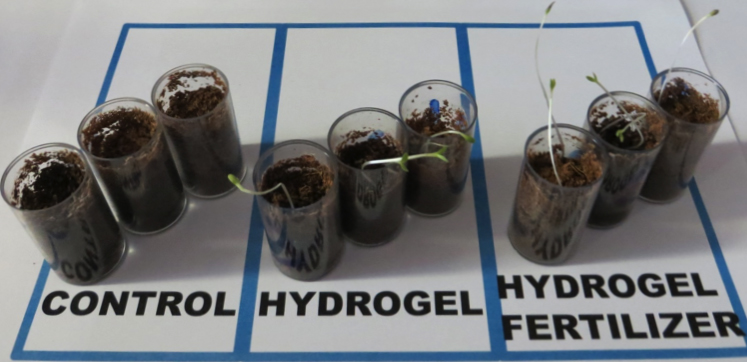 hydrogel lettuce samples