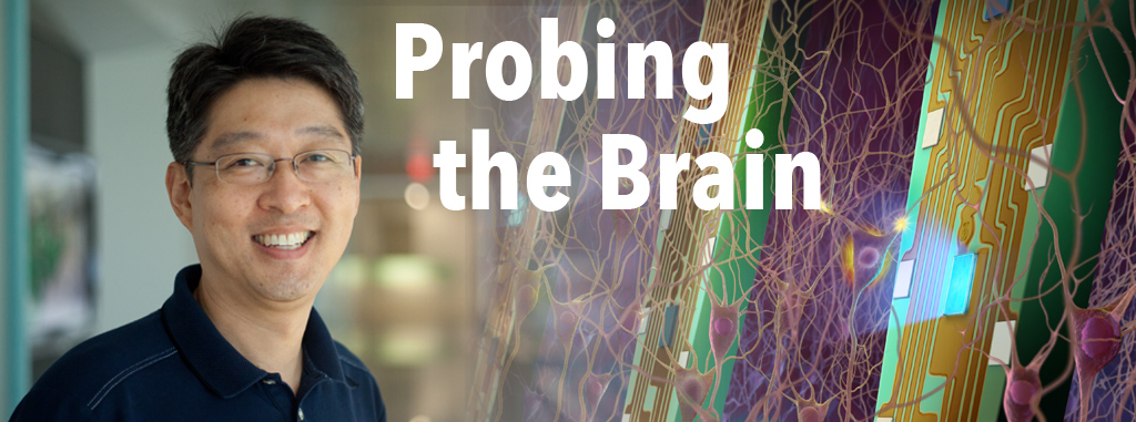 probing the brain