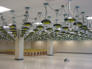 System hanging from ceiling