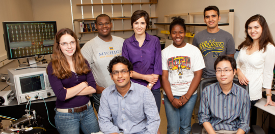 Prof. Rais-Zadeh and her research group