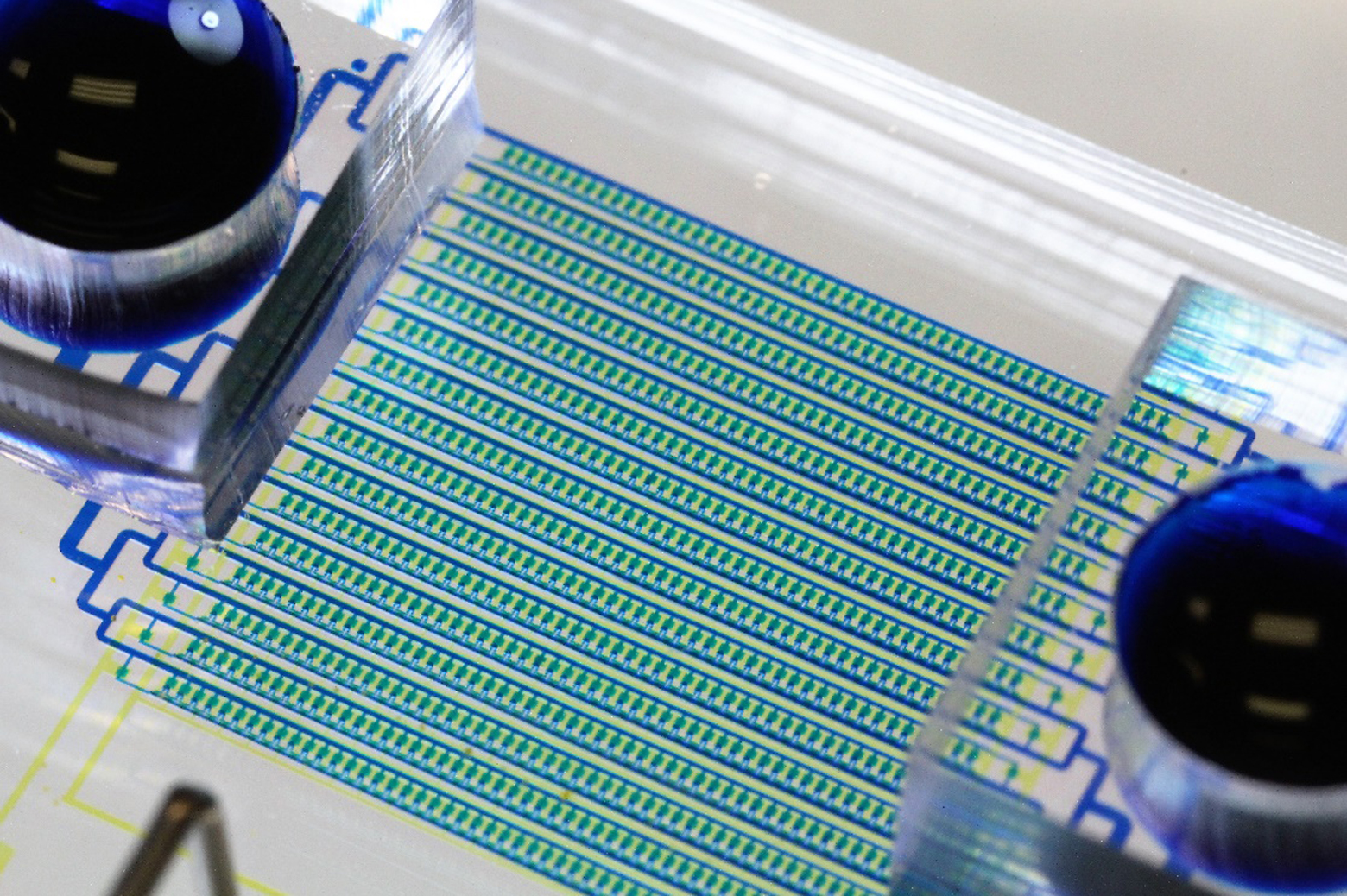 A new microfluidic chip designed to catch circulating tumor cells