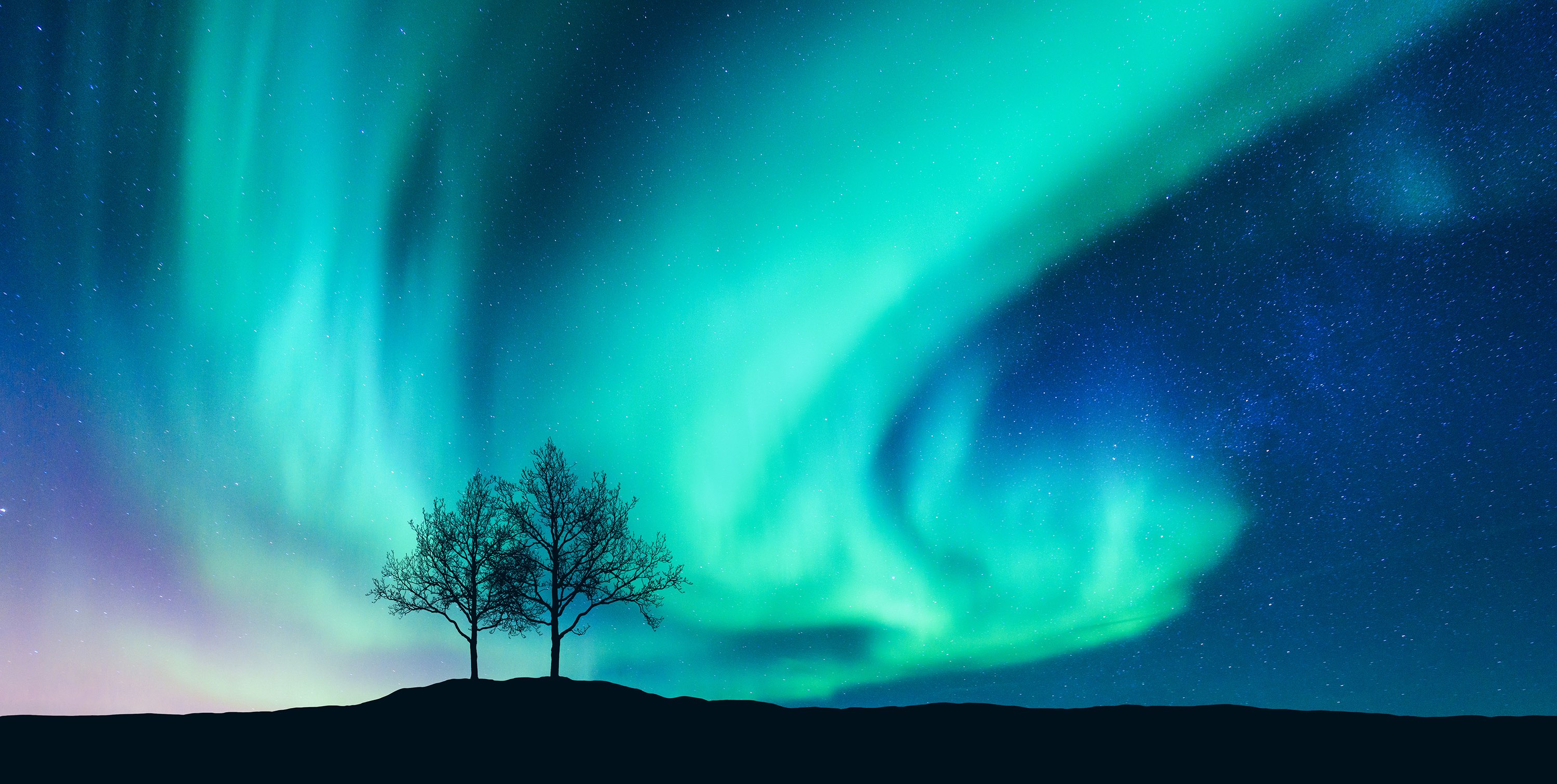 Aurora borealis (Northern Lights).