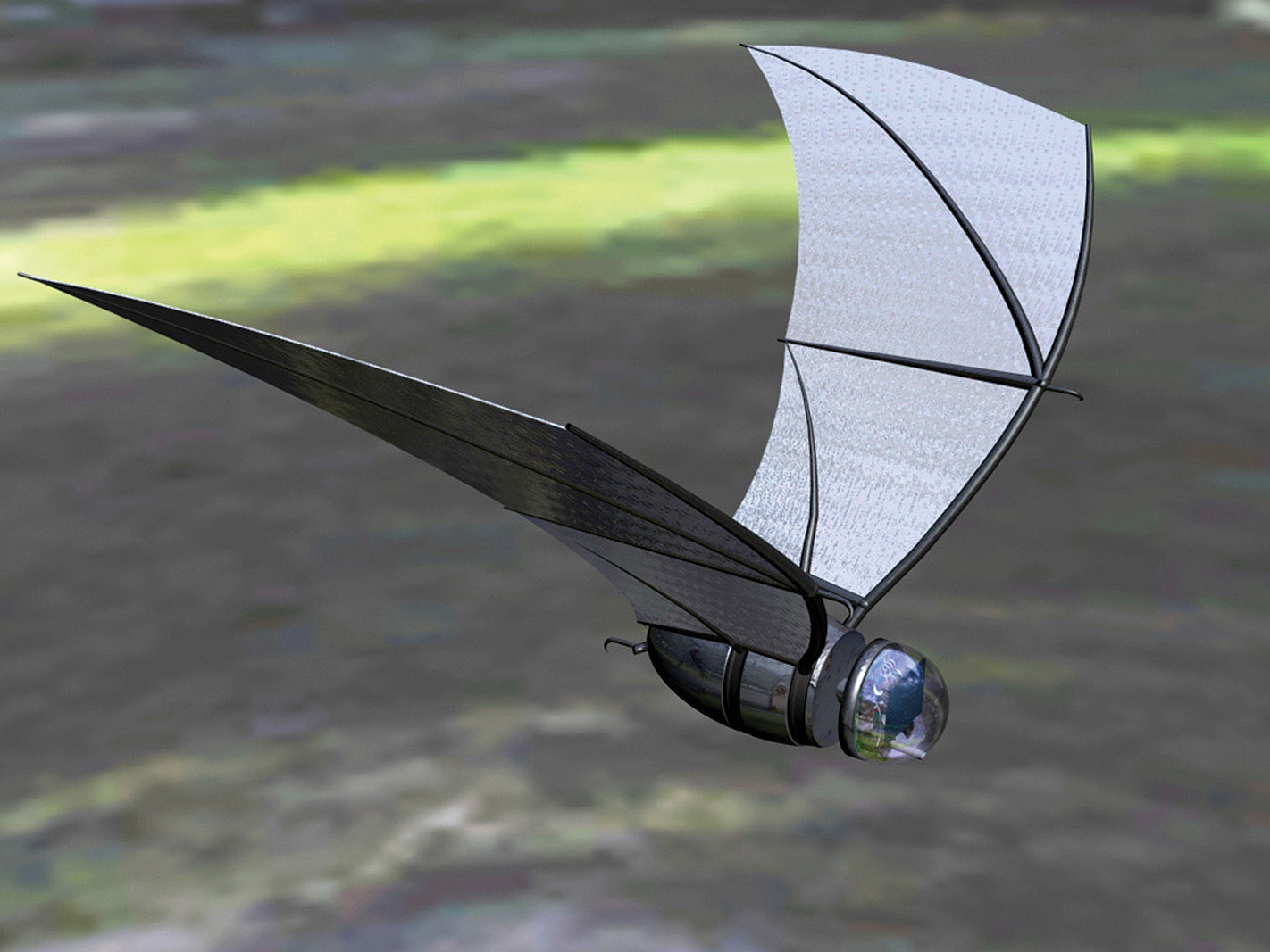 Bat-inspired drone