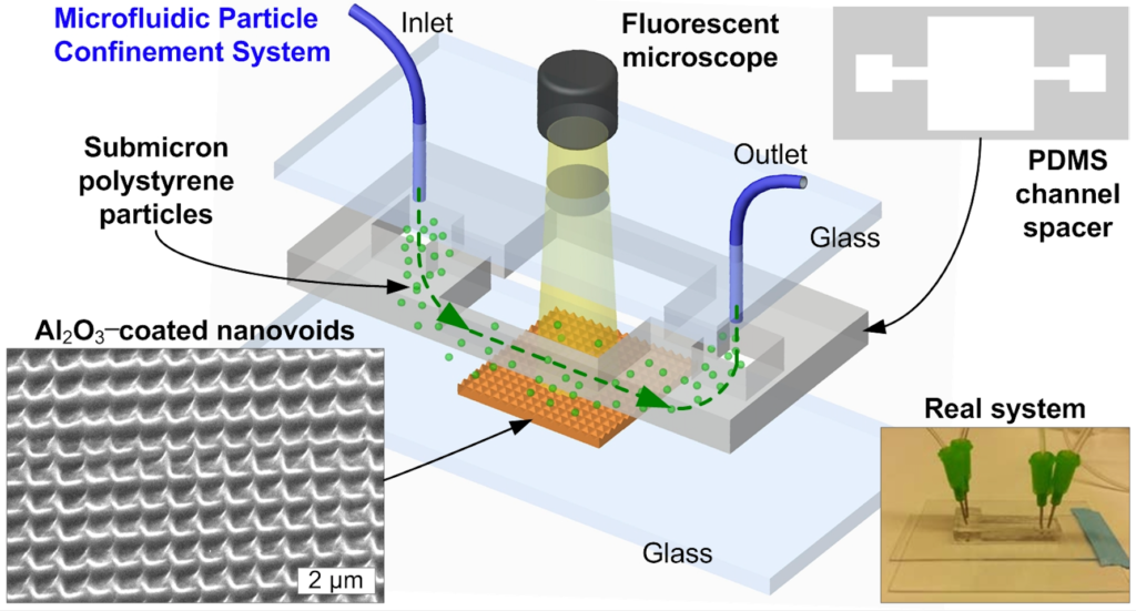 guo-nanovoid-system