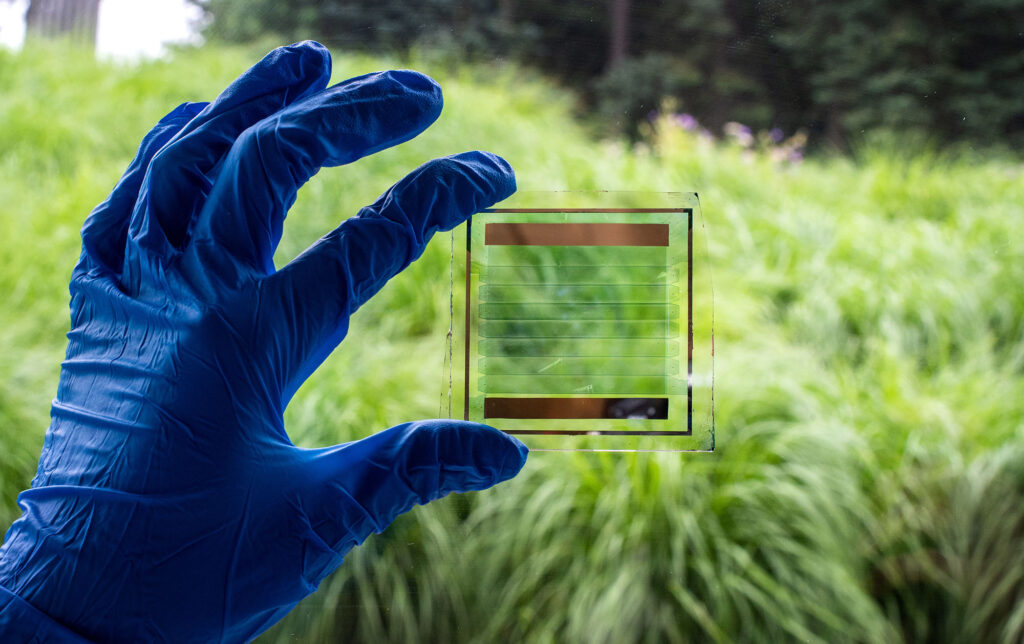 A gloved hand holds up the semi-transparent solar cell