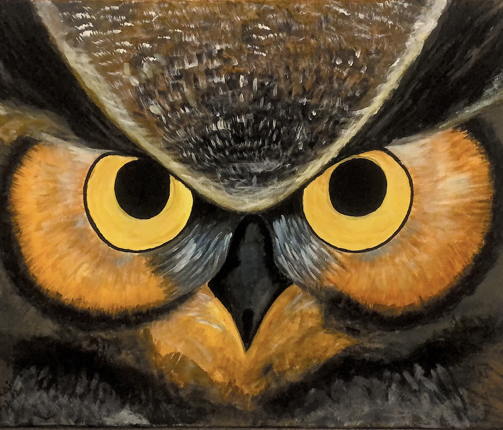 Painting of an owl's face