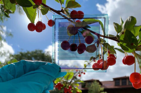 Organic photovoltaics offer realistic pathway to power-generating windows
