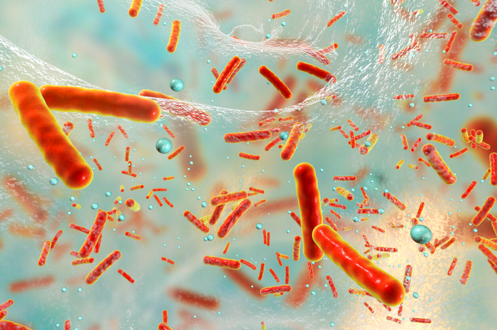 3D illustration of a close-up view of bacteria 