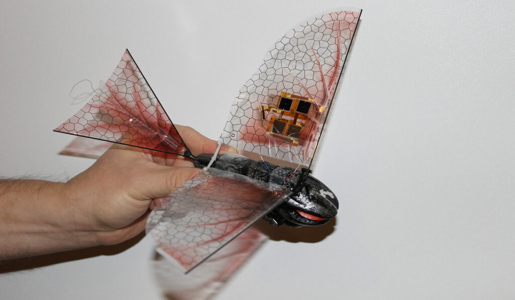 Prototype of a bat with many types of sensors.