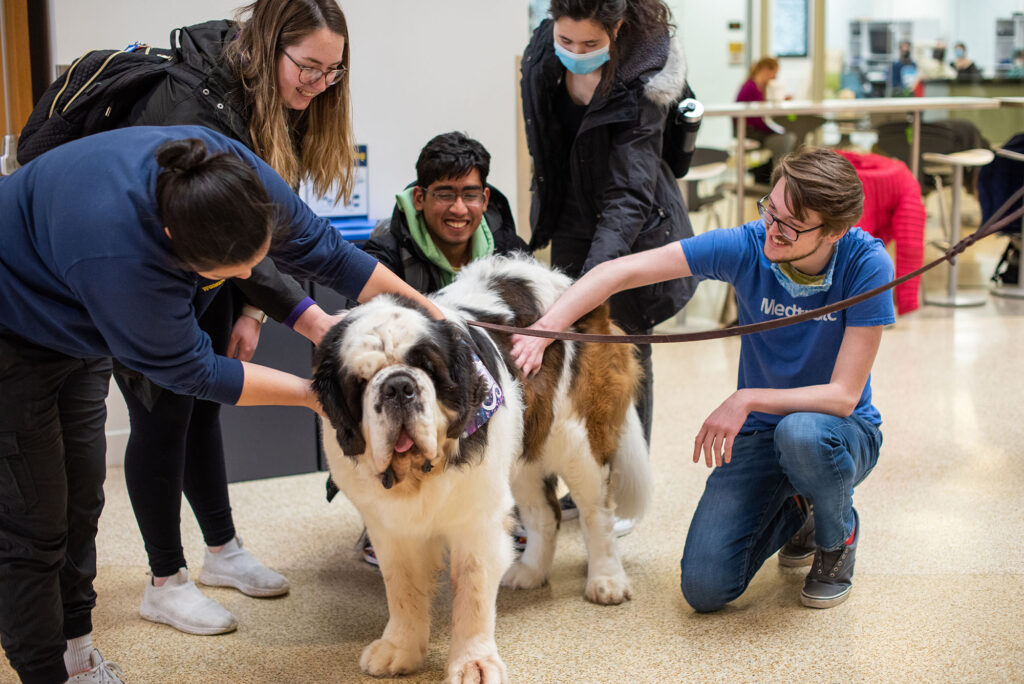 Sky the St. Bernard visits ECE students